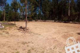 Land São Pedro do Sul