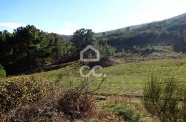 Land with 31.000m2 Land with 31.000m2