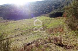 Land with 31.000m2 Land with 31.000m2