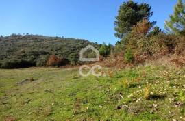 Land with 31.000m2 Land with 31.000m2