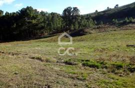 Land with 31.000m2