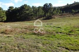 Land with 31.000m2 Land with 31.000m2