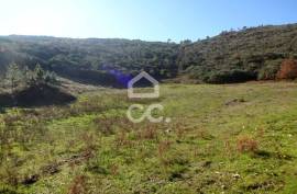 Land with 31.000m2 Land with 31.000m2