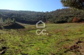 Land with 31.000m2 Land with 31.000m2