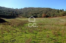 Land with 31.000m2 Land with 31.000m2