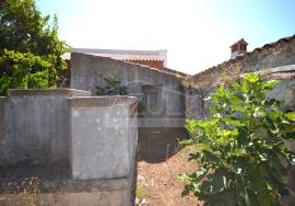 Old House with Plot of Land