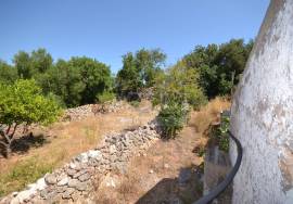 Old House with Plot of Land