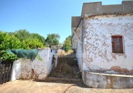 Old House with Plot of Land