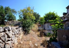 Old House with Plot of Land