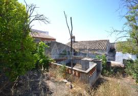 Old House with Plot of Land