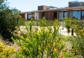 1+2 bedroom apartment with a view of the Pine Forest at the Pestana Tróia Eco Resort & Residences 1+2 bedroom apartment with a view of the Pine Forest at the Pestana Tróia Eco Resort & Residences