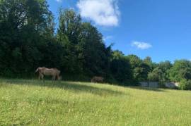 Stunning 5 Bed Longere for Sale in St. Rémy au Bois France