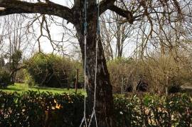 Stunning 5 Bed Chateau for Sale in Savigny-en-Revermont France Stunning 5 Bed Chateau for Sale in Savigny-en-Revermont France