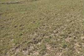 Excellent Plot of land for sale in Jesus de Otoro, Honduras