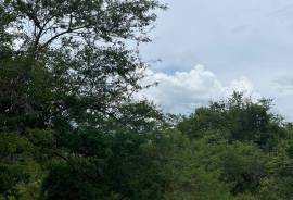Excellent Plot of land for sale in Jesus de Otoro, Honduras