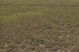Excellent Plot of land for sale in Jesus de Otoro, Honduras