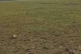 Excellent Plot of land for sale in Jesus de Otoro, Honduras