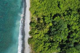 Land - For Sale -
