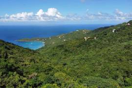 Land for Sale- Mayaba, Tortola BVI- 0.5 Acres lot 38 UD-153 Land for Sale- Mayaba, Tortola BVI- 0.5 Acres lot 38 UD-153