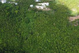 Land - For Sale -
