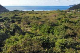 The Garden Acre, Josiah's Bay
