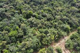 Cane View, Windy Hill Home Lot