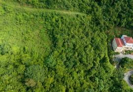Butu Mountain Apartment Lot 477