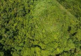 Butu Mountain Apartment Lot 477