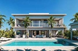 The Palms