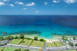 Platinum Bay