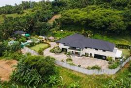 Luxury 15 Bedroom Estate For Sale in DANAO Cebu Philippines