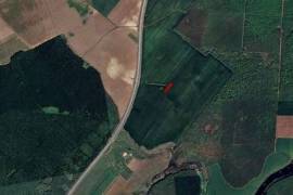 Generous Plot for Sale in Snagov, Just 37 km from Bucharest, Near the Iconic Snagov Lake and Forest