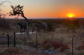 Land For Sale on Mahlathini Private Game Reserve South