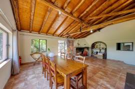 Self-sufficient Rustic Farm in Alferce - Monchique Self-sufficient Rustic Farm in Alferce - Monchique