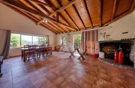 Self-sufficient Rustic Farm in Alferce - Monchique Self-sufficient Rustic Farm in Alferce - Monchique