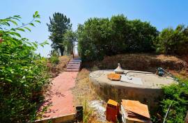 Self-sufficient Rustic Farm in Alferce - Monchique Self-sufficient Rustic Farm in Alferce - Monchique