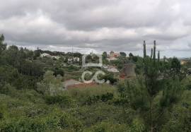 Rustic land for sale in Reguengo Grande, Lourinhã