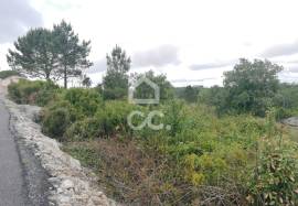 Rustic land for sale in Reguengo Grande, Lourinhã