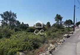 Rustic land for sale in Reguengo Grande, Lourinhã