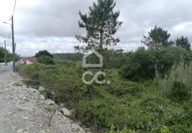 Rustic land for sale in Reguengo Grande, Lourinhã