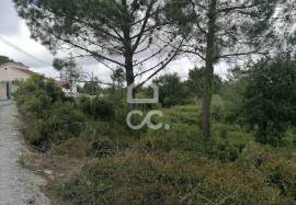 Rustic land for sale in Reguengo Grande, Lourinhã