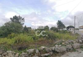 Rustic land for sale in Reguengo Grande, Lourinhã