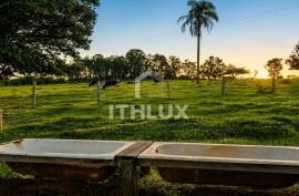 114,315m² Site with Own Stream on the Banks of the Marechal Rondon Highway | Botucatu 114,315m² Site with Own Stream on the Banks of the Marechal Rondon Highway | Botucatu