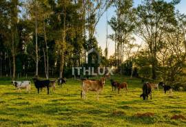114,315m² Site with Own Stream on the Banks of the Marechal Rondon Highway | Botucatu 114,315m² Site with Own Stream on the Banks of the Marechal Rondon Highway | Botucatu