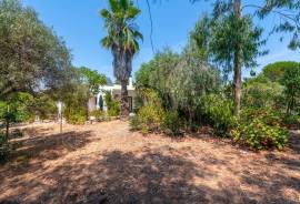 2 bedroom Countryside Villa for Sale in Moncarapacho, Eastern Algarve. 2 bedroom Countryside Villa for Sale in Moncarapacho, Eastern Algarve.