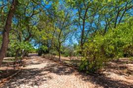 Luxury 5 Bed Country Estate & Annexe For Sale In Algoz Algarve Portugal
