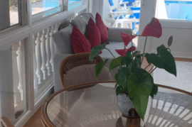 Estate With 2 Houses For Sale in El Perello Tarragona Spain Estate With 2 Houses For Sale in El Perello Tarragona Spain