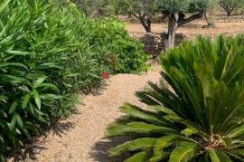 Estate With 2 Houses For Sale in El Perello Tarragona Spain Estate With 2 Houses For Sale in El Perello Tarragona Spain