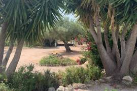 Estate With 2 Houses For Sale in El Perello Tarragona Spain Estate With 2 Houses For Sale in El Perello Tarragona Spain
