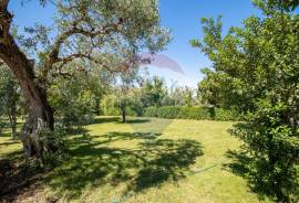 Stunning Quinta Vale Jardim Wedding and Event Venue For Sale in Fundao Castelo Branco Portugal Stunning Quinta Vale Jardim Wedding and Event Venue For Sale in Fundao Castelo Branco Portugal
